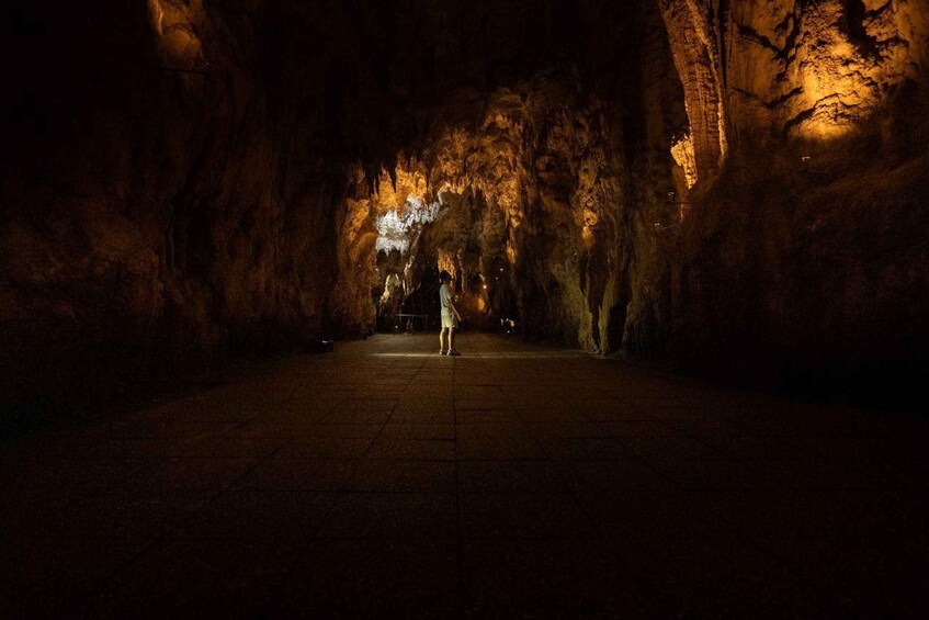 Picture 12 for Activity From Auckland: Waitomo Caves and Rotorua with Te Puia