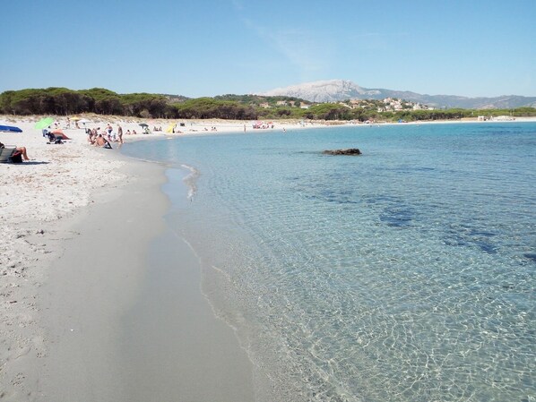 Strand