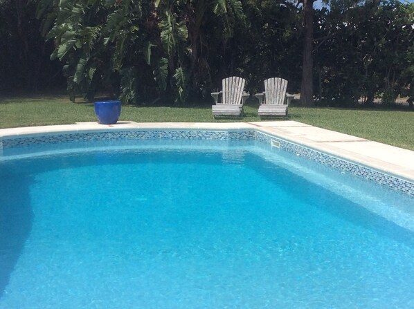 Enjoy the pool only steps from the apartment!