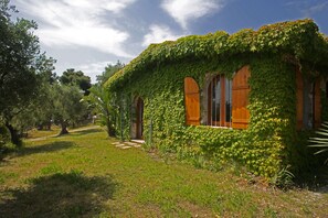 Extérieur