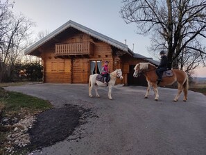 Ulkopuoli