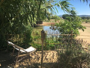 Vue de la mare et de l'enclos des ânes + Ventoux (espace détente du bassin)
