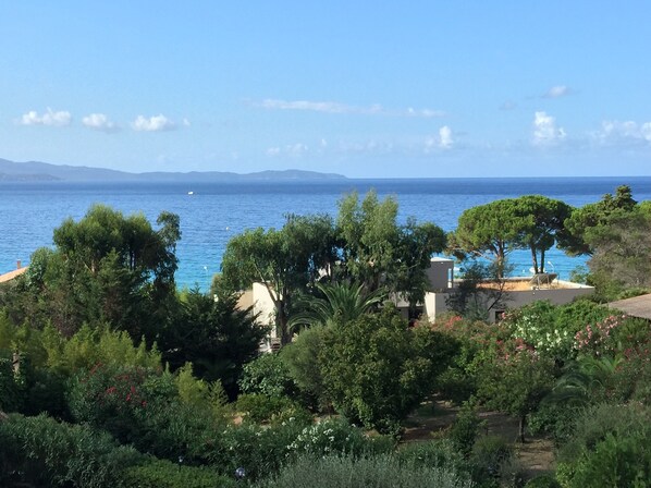Vue sur la plage/l’océan