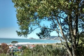 View from Deck