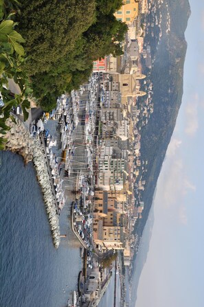 Bastia le vieux port 